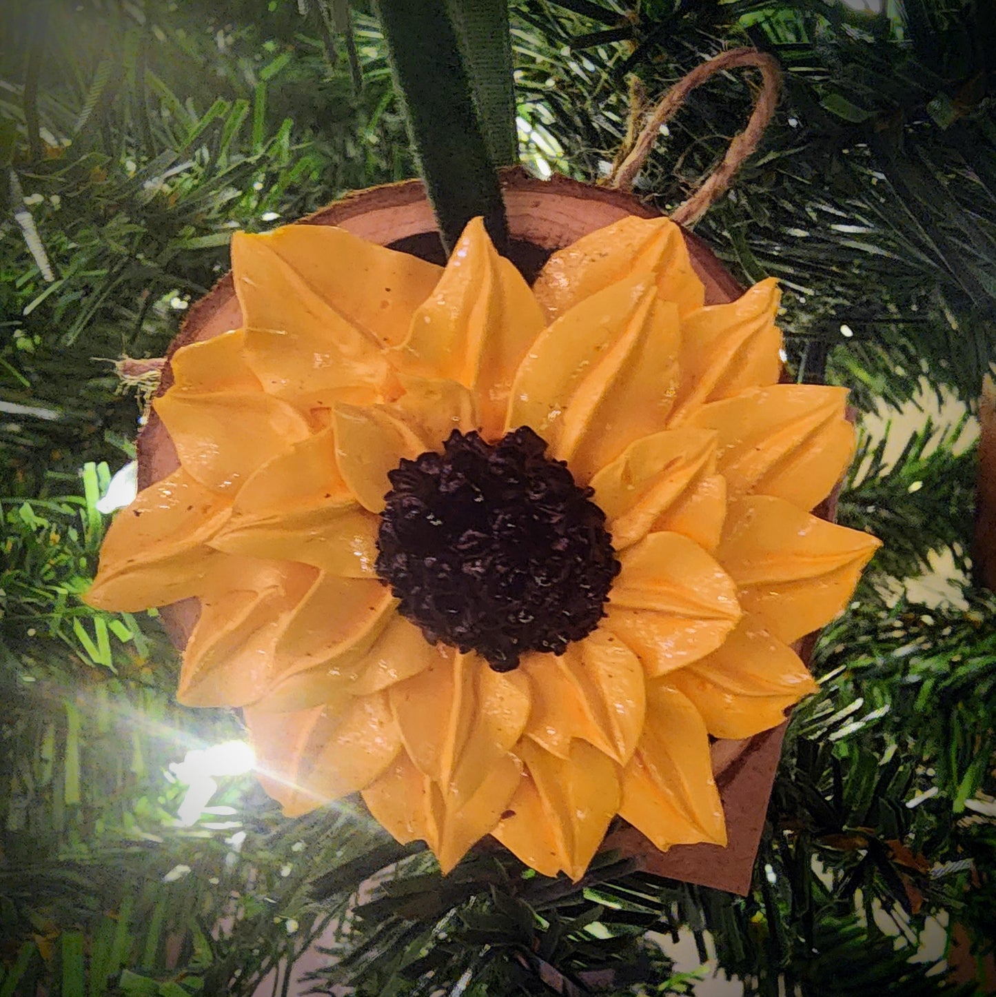 Glossy Sunflower