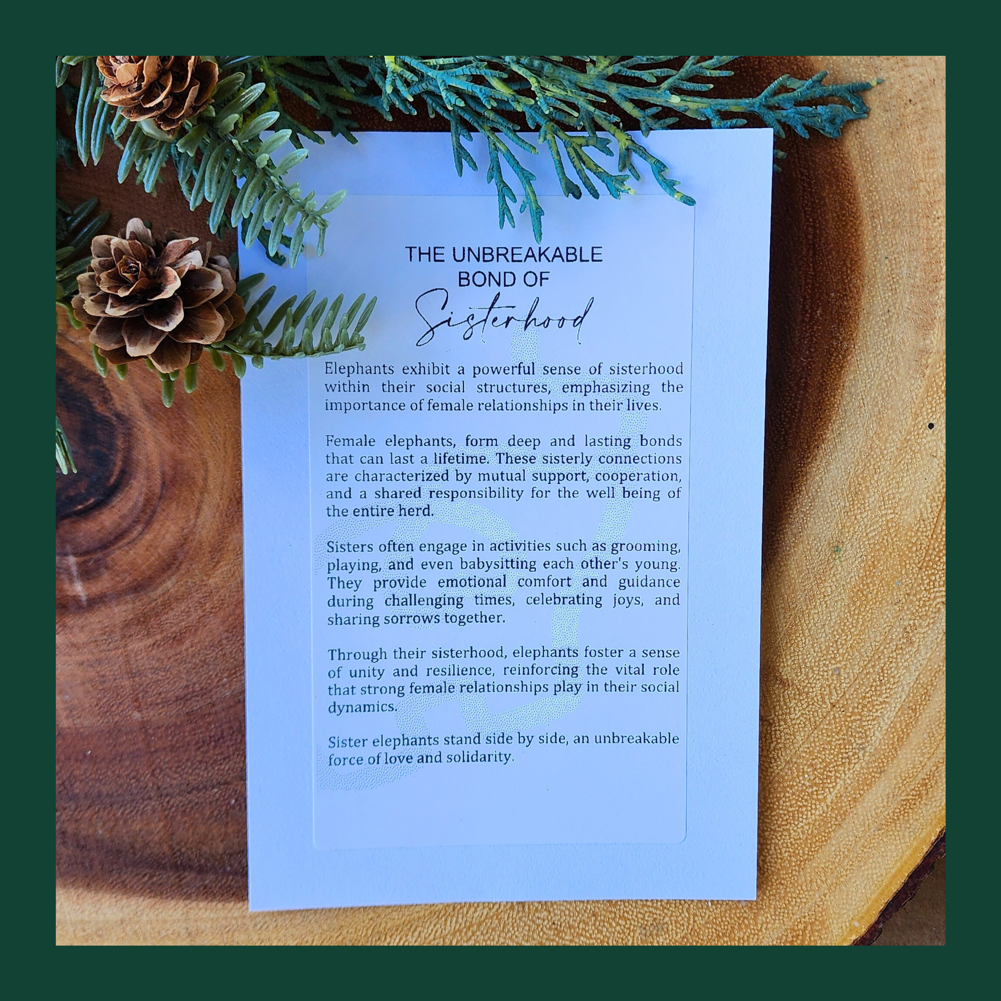 "The Unbreakable Bond of Sisterhood" Walnut Story Ornament