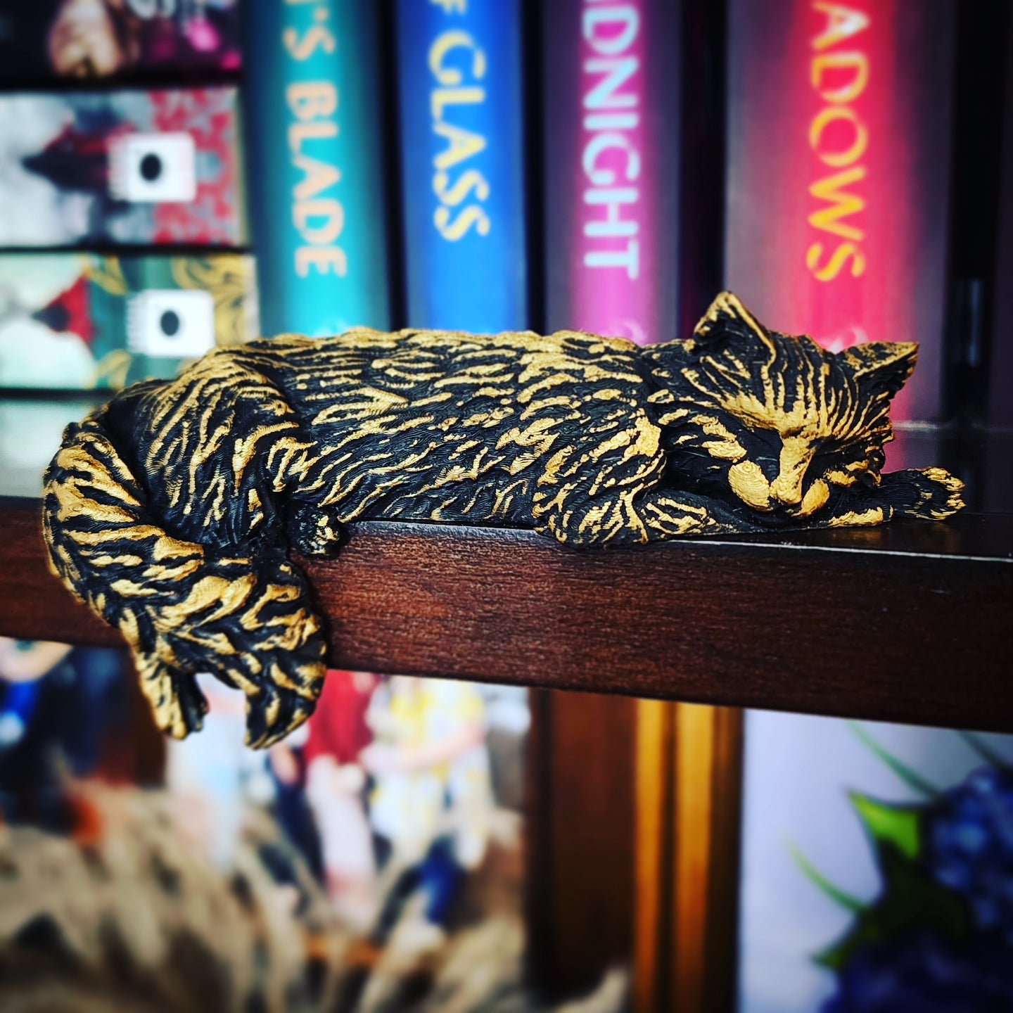 Sleeping Kitty ~ Book Buddy