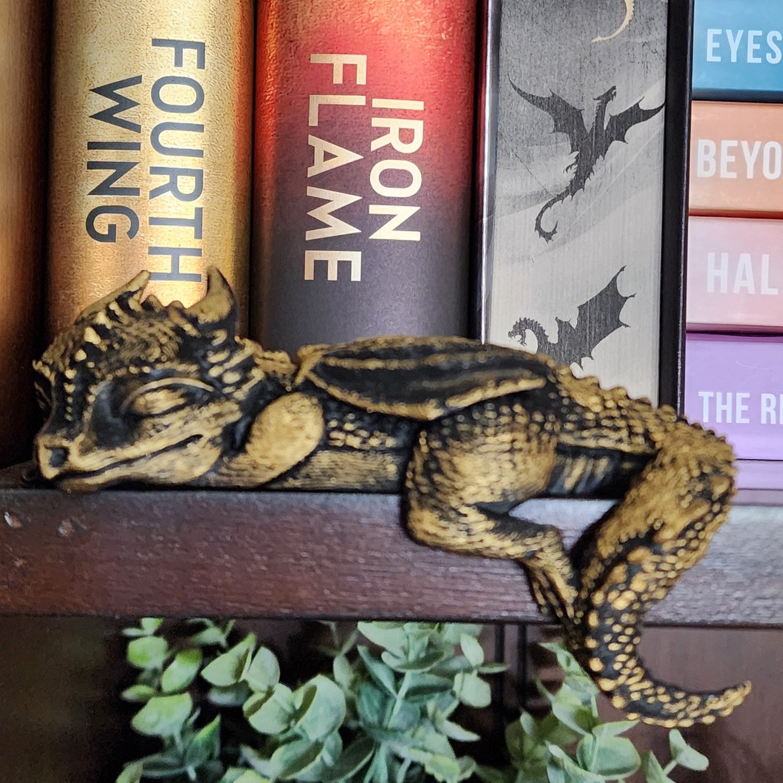 Sleeping Dragon ~ Book Buddy
