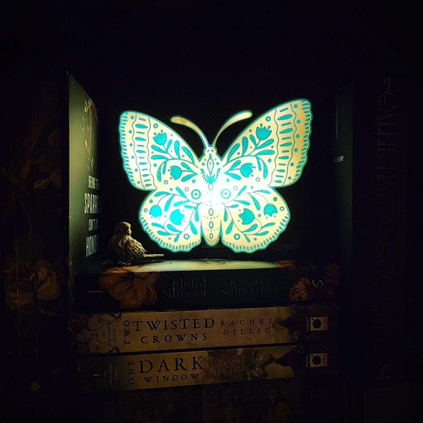 Moth Light