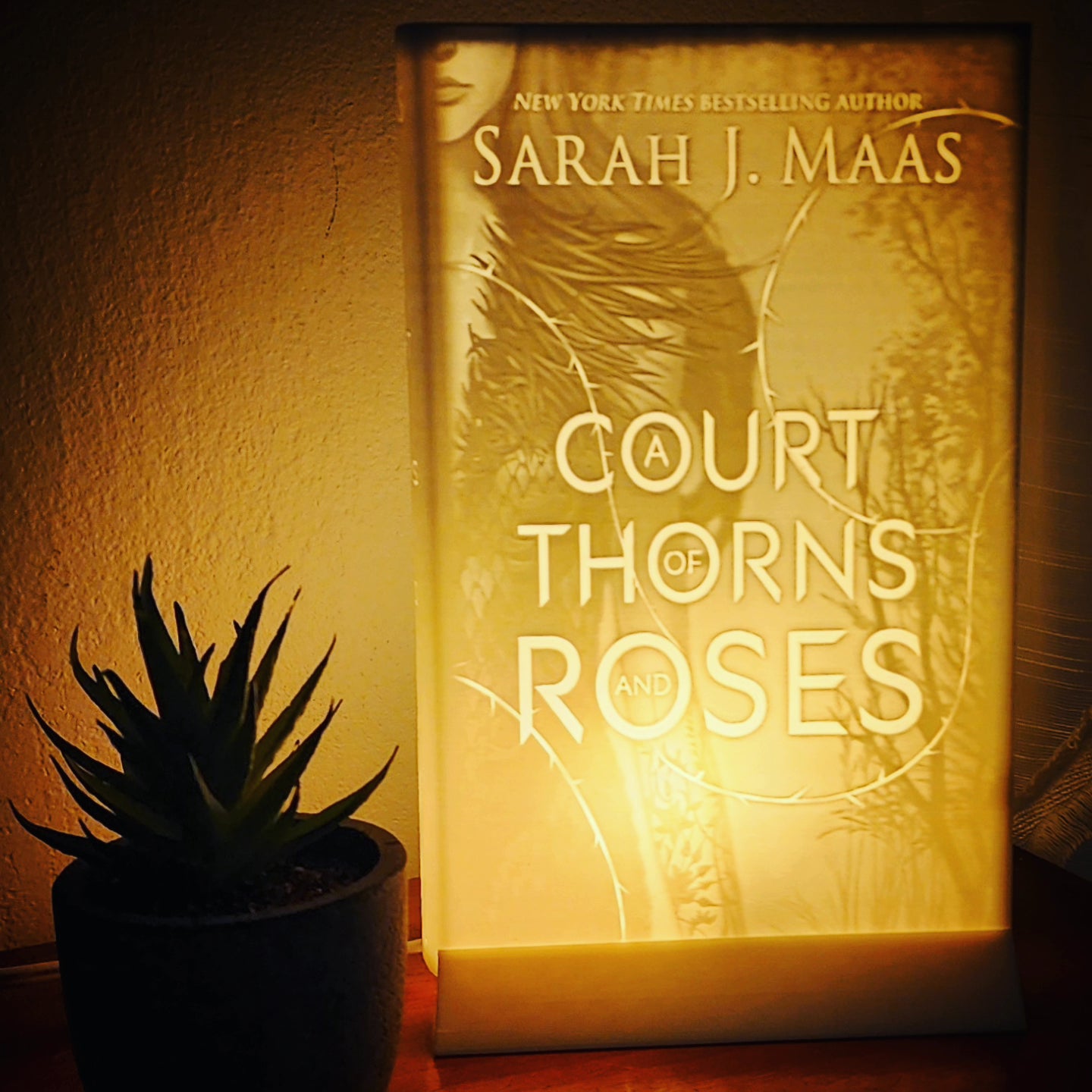 "ACOTAR" Novel Lights